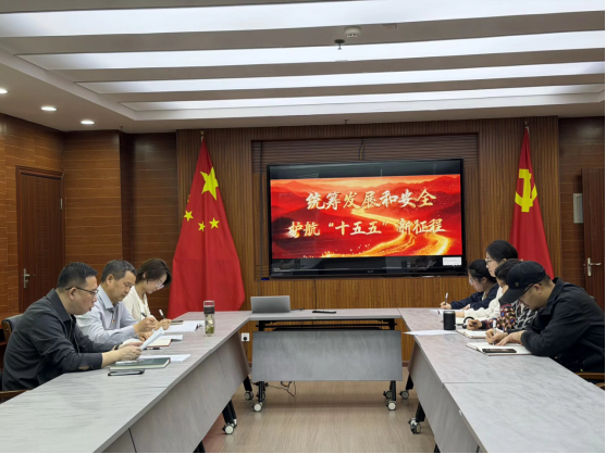 资产管理处党支部开展“统筹发展和安全护航‘十五五’新征程”全民国家安全教育日主题党日活动